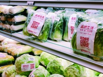 如何讓包裝“綠”起來(lái)？