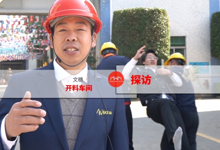 走進(jìn)文穗開料車間 (1211播放)